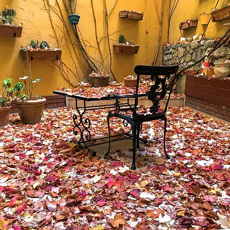 Erguvan - Special Category İstanbul