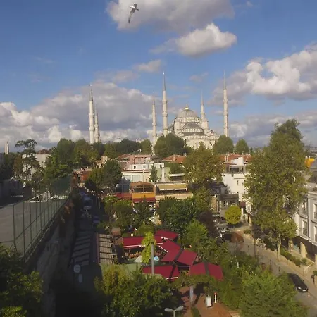 犹太树特殊类别酒店 3*