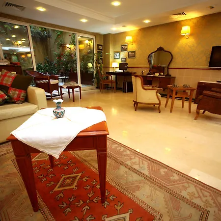 Erguvan - Special Category İstanbul