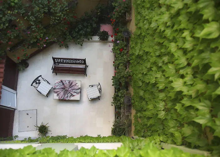 Erguvan - Special Category 3*