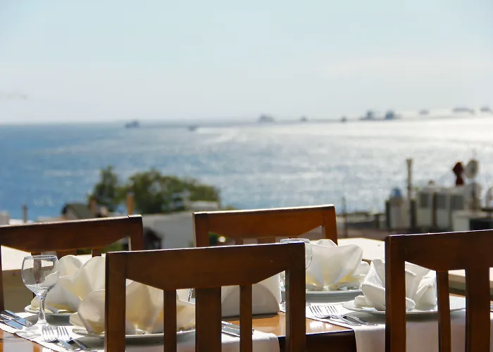 Erguvan - Special Category