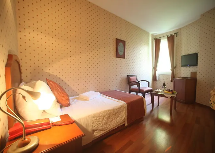 Erguvan - Special Category