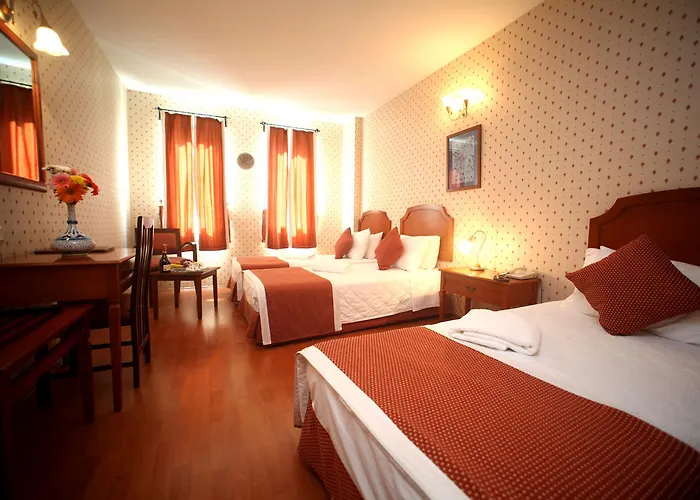 Hotel Erguvan - Special Category 3*