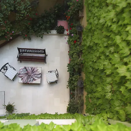 에르구반 - 스페셜 카테고리 3*