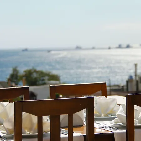 에르구반 - 스페셜 카테고리