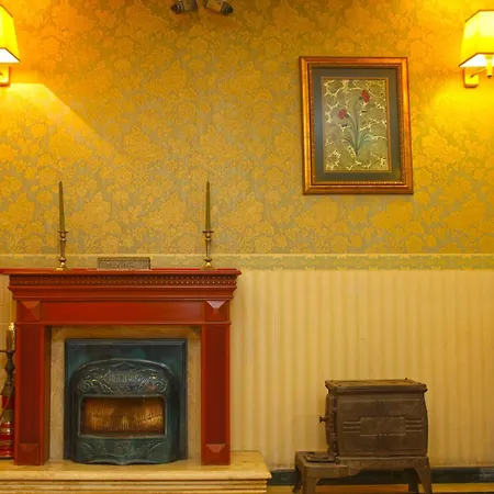 Erguvan - Special Category