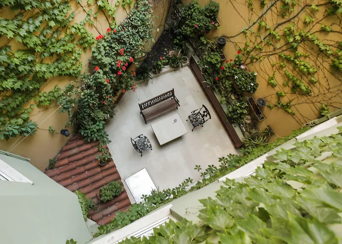 Erguvan - Special Category