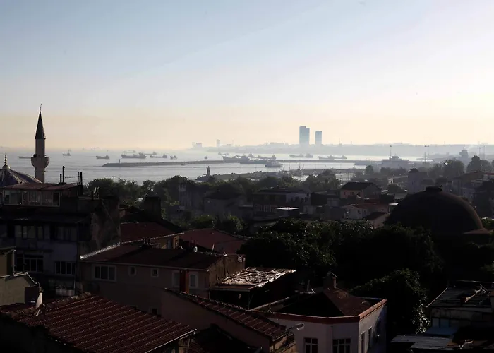 Erguvan - Special Category