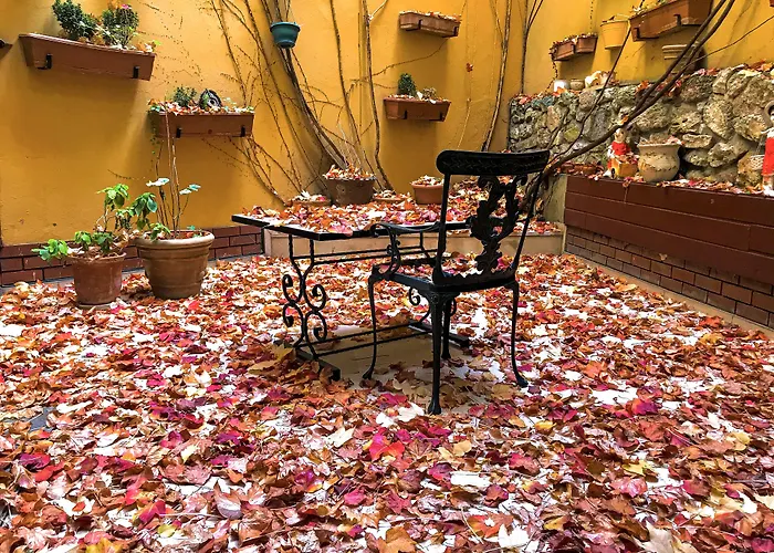 Erguvan - Special Category Istanbul